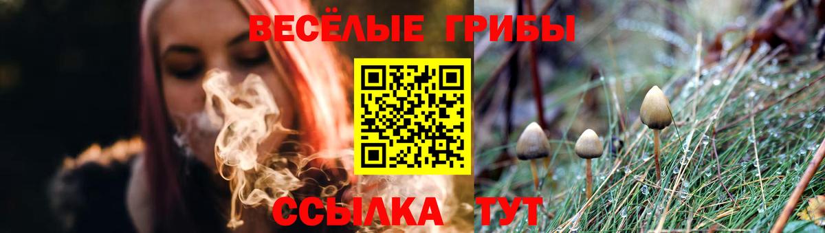 Псилоцибиновые грибы мухоморы  Галлюциногенные грибы Cubensis  Вход с VPN  Сыктывкар 